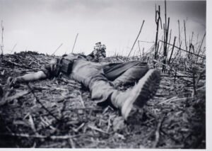 leroy_catherine_2008_56_17_411070_displaysize